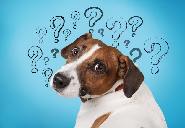 Dog help